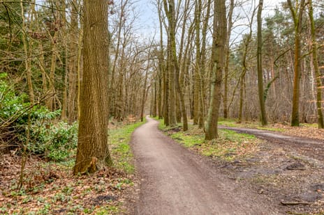 Lage Vuurscheweg 84-A tertiary image