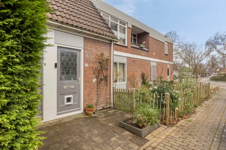 undefined main image