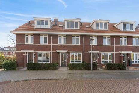 Lotusvliet thumbnail