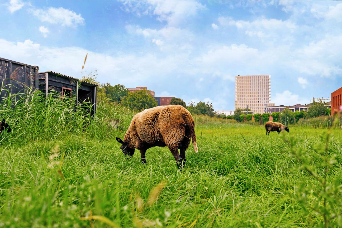 Foto 40 van Heideweg 33