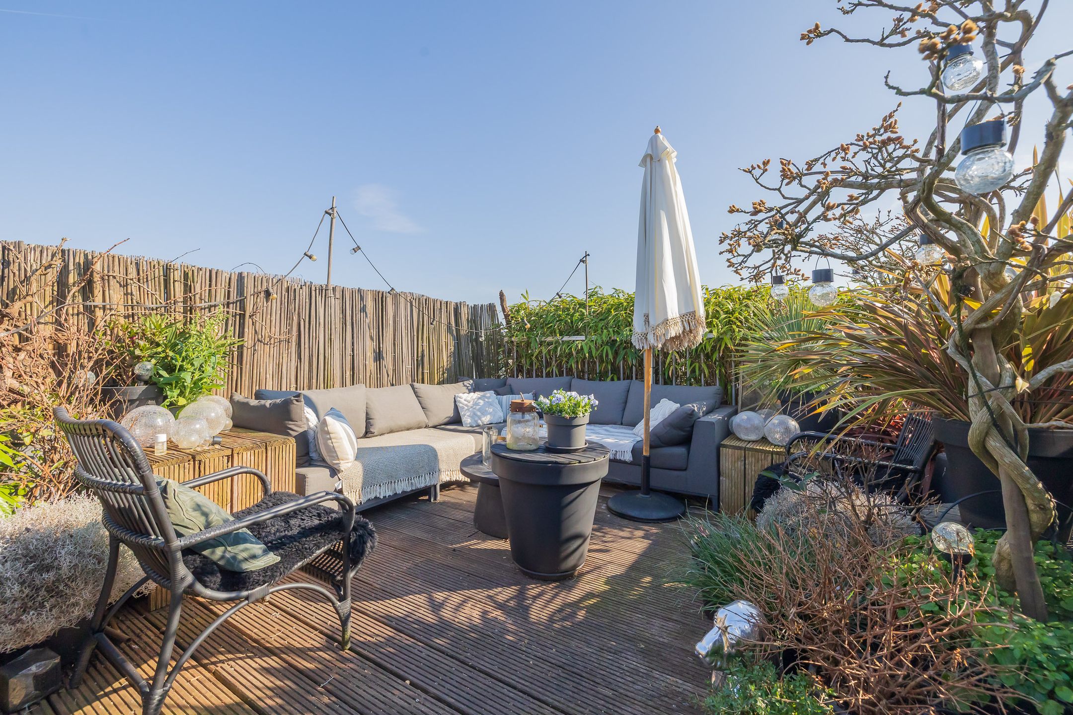 Foto 3 van Van Hogendorpstraat 153-3