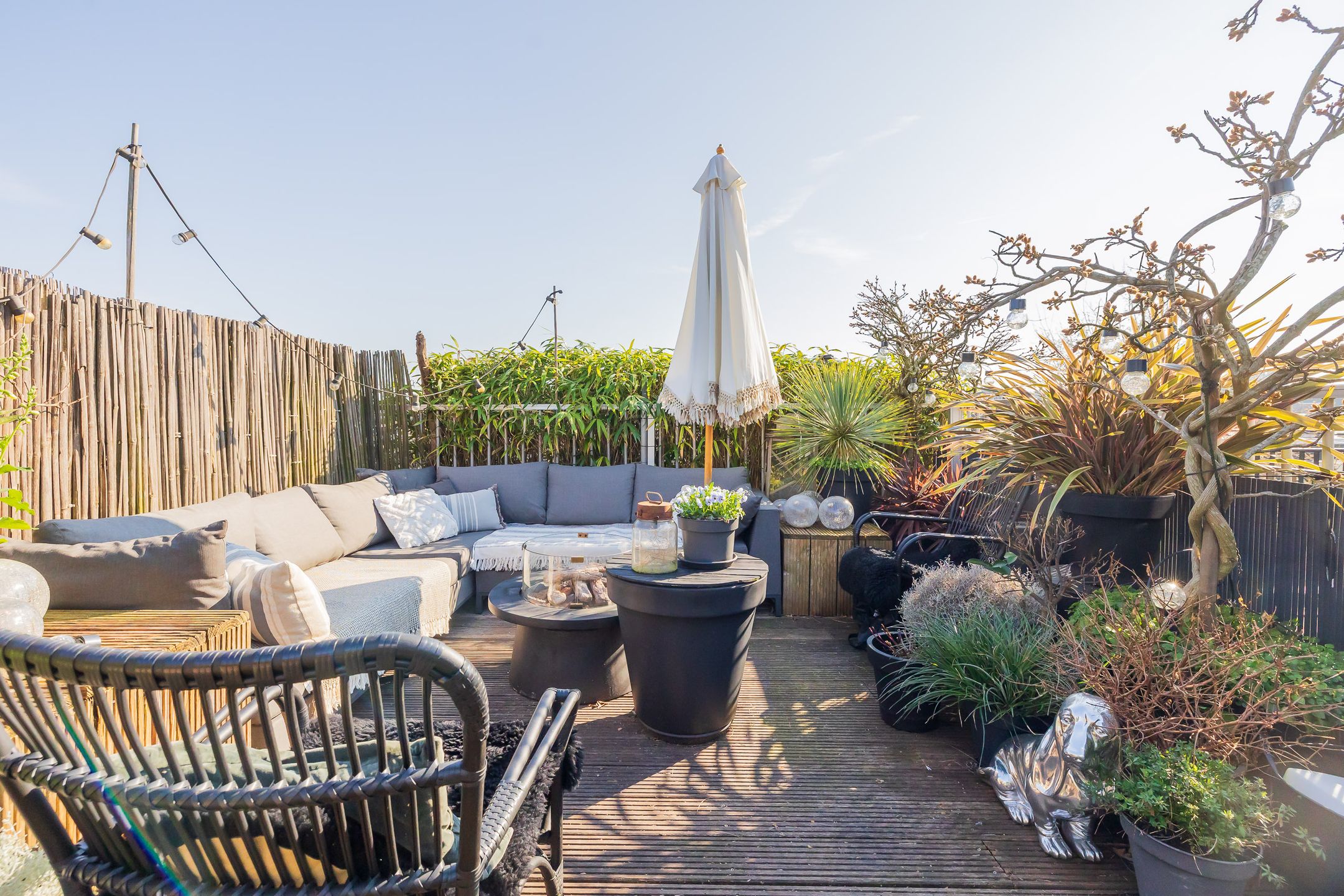 Foto 36 van Van Hogendorpstraat 153-3