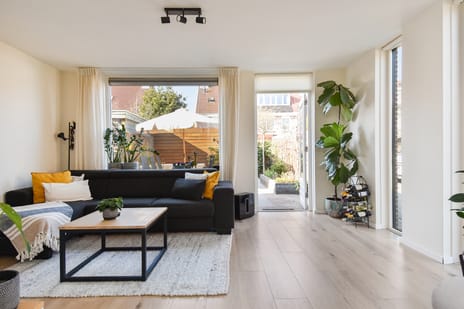 Spirea 9 secondary image