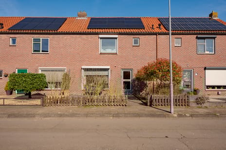 undefined main image