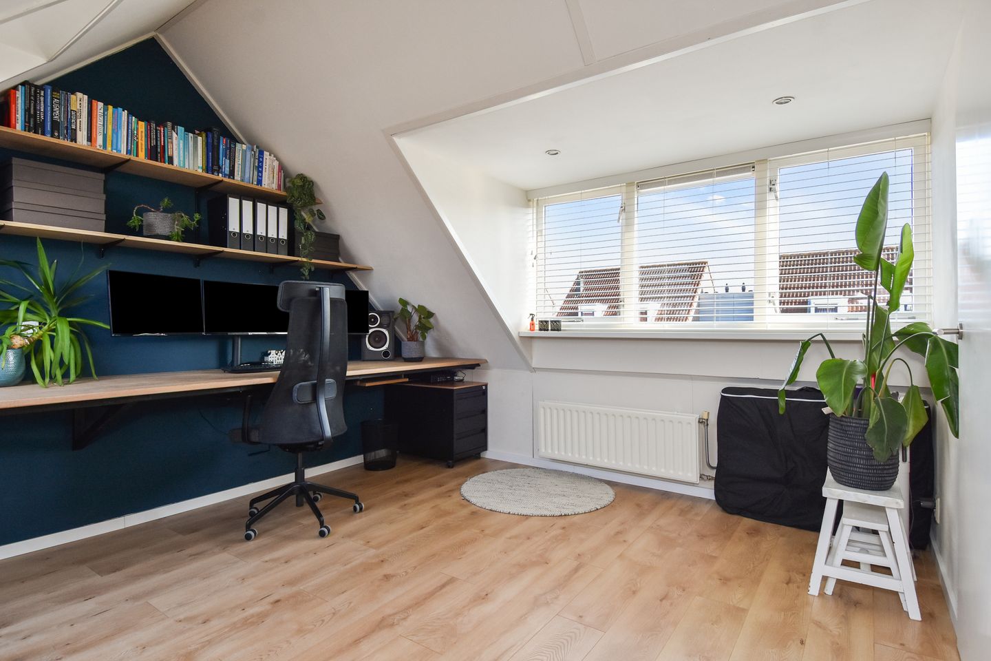 Foto 25 van Spirea 9