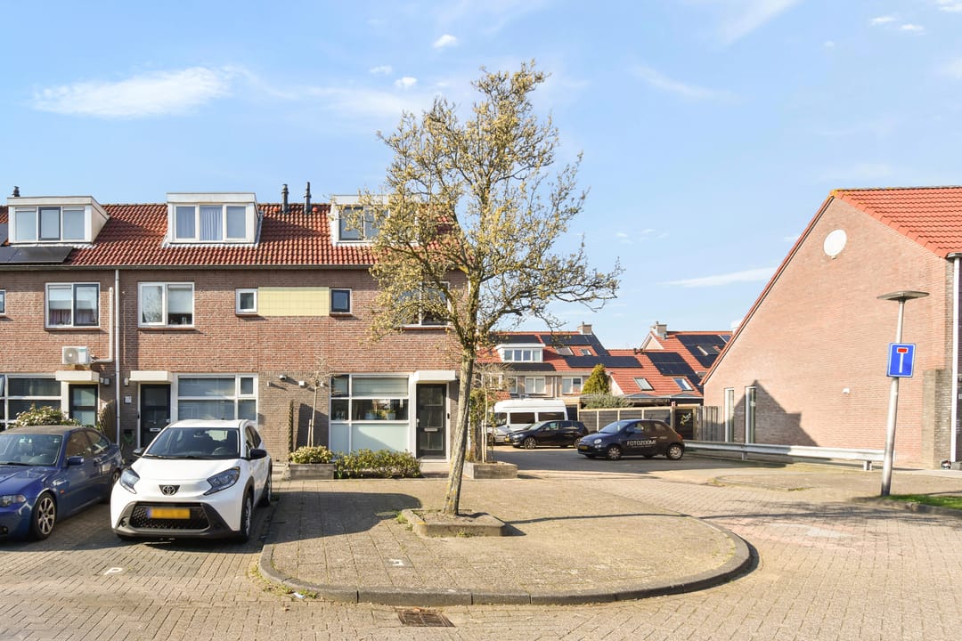 Foto 28 van Spirea 9