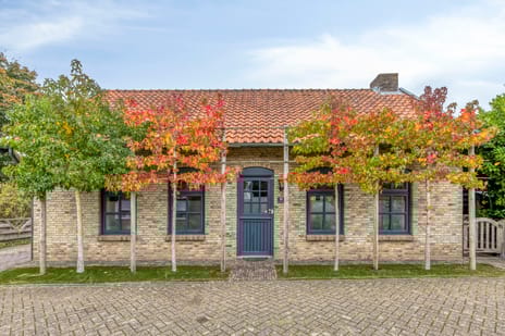 Slingerstraat thumbnail