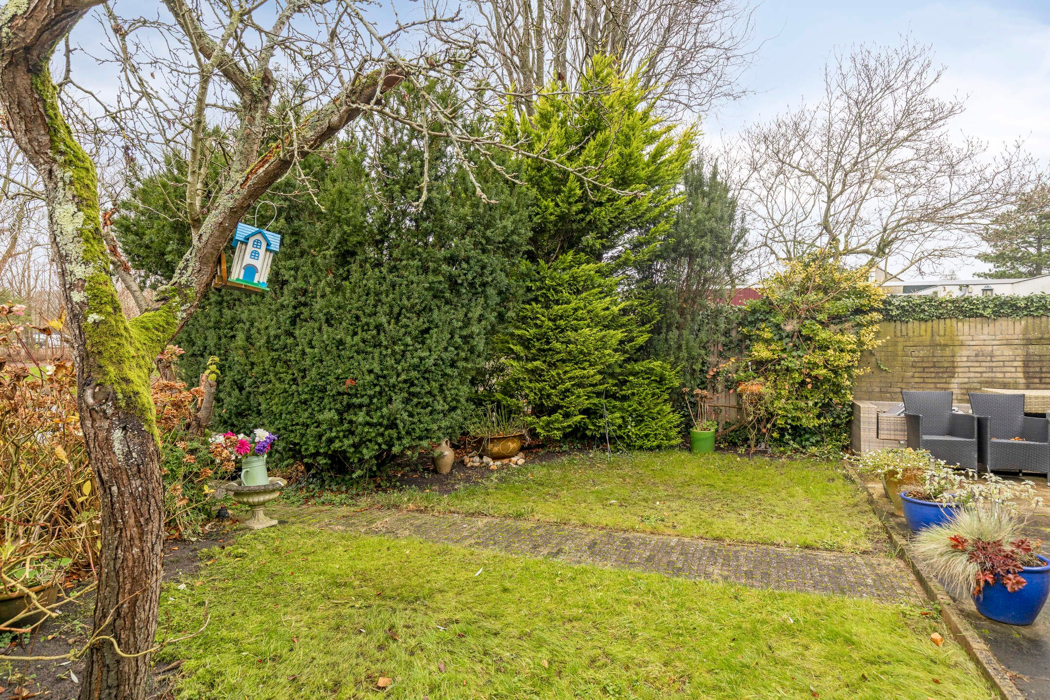 Photo 24 of Gebr. Conijnstraat 19