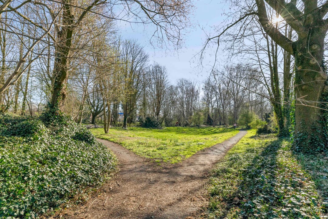 Foto 31 van Cantondreef 19