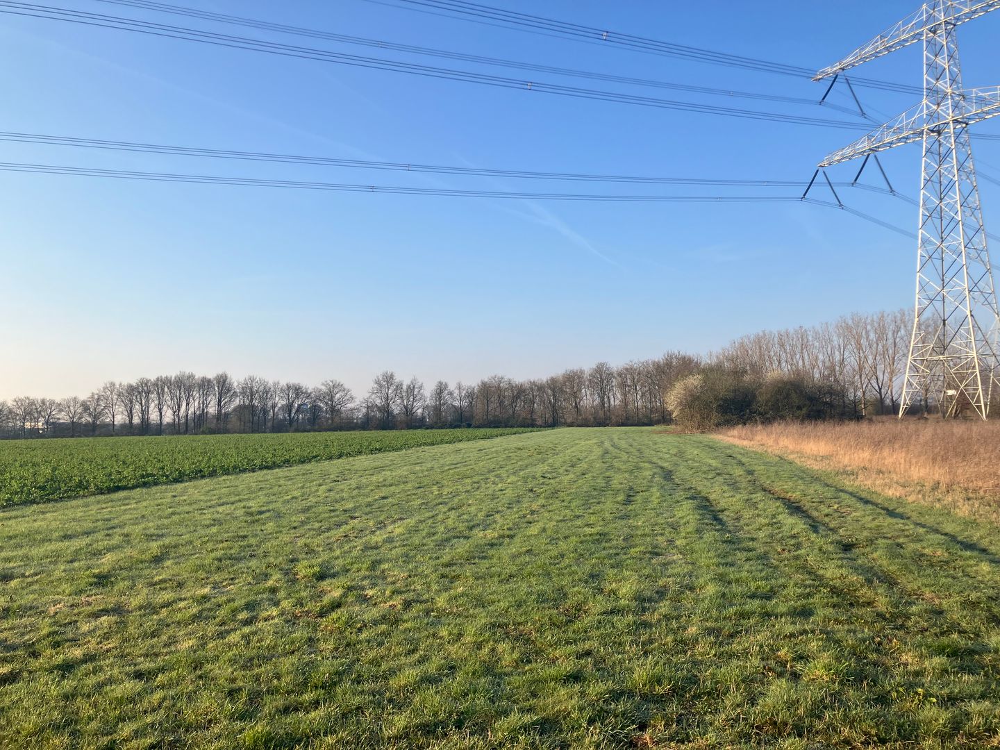 Bekijk foto 3 van Houtweg Noord