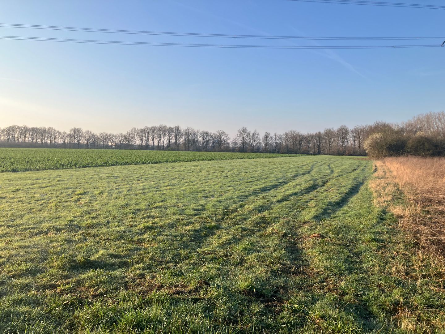 Bekijk foto 2 van Houtweg Noord