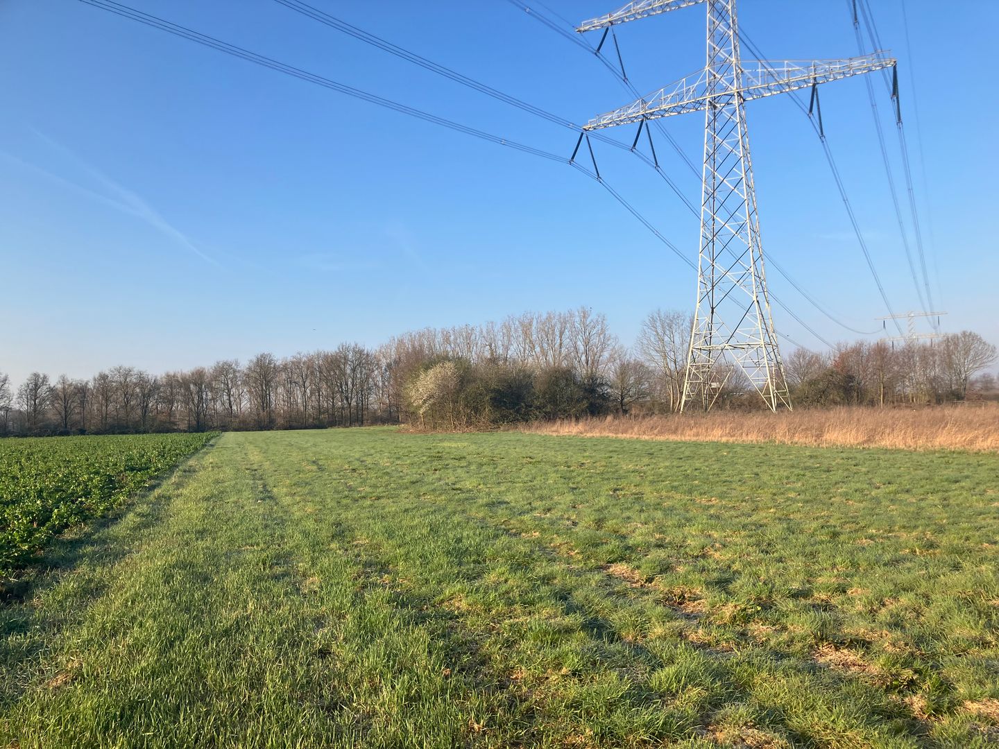 Bekijk foto 5 van Houtweg Noord