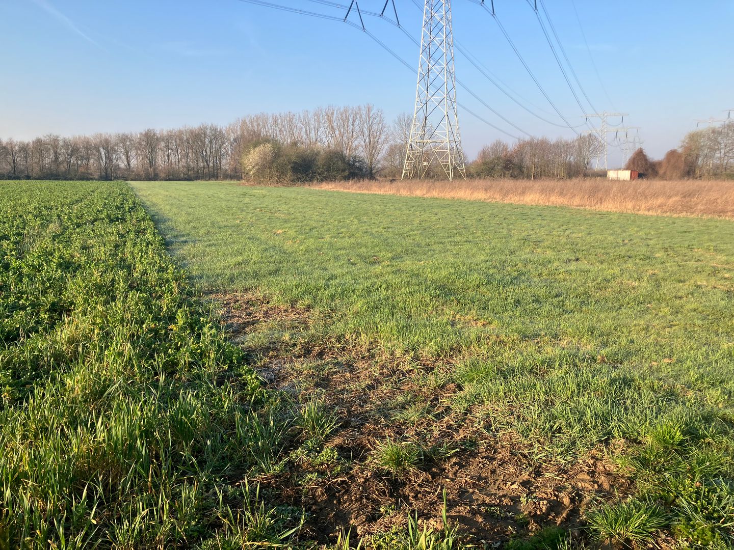 Bekijk foto 4 van Houtweg Noord