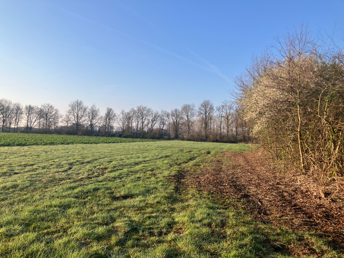 Houtweg Noord - Echt - Afbeelding 7