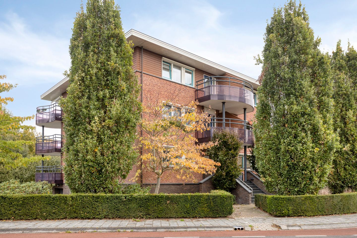 Foto 25 van Schering 25