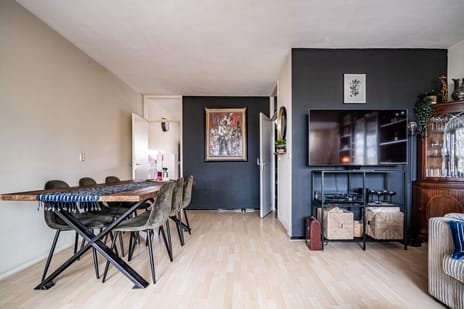 Raaphorst 105 tertiary image