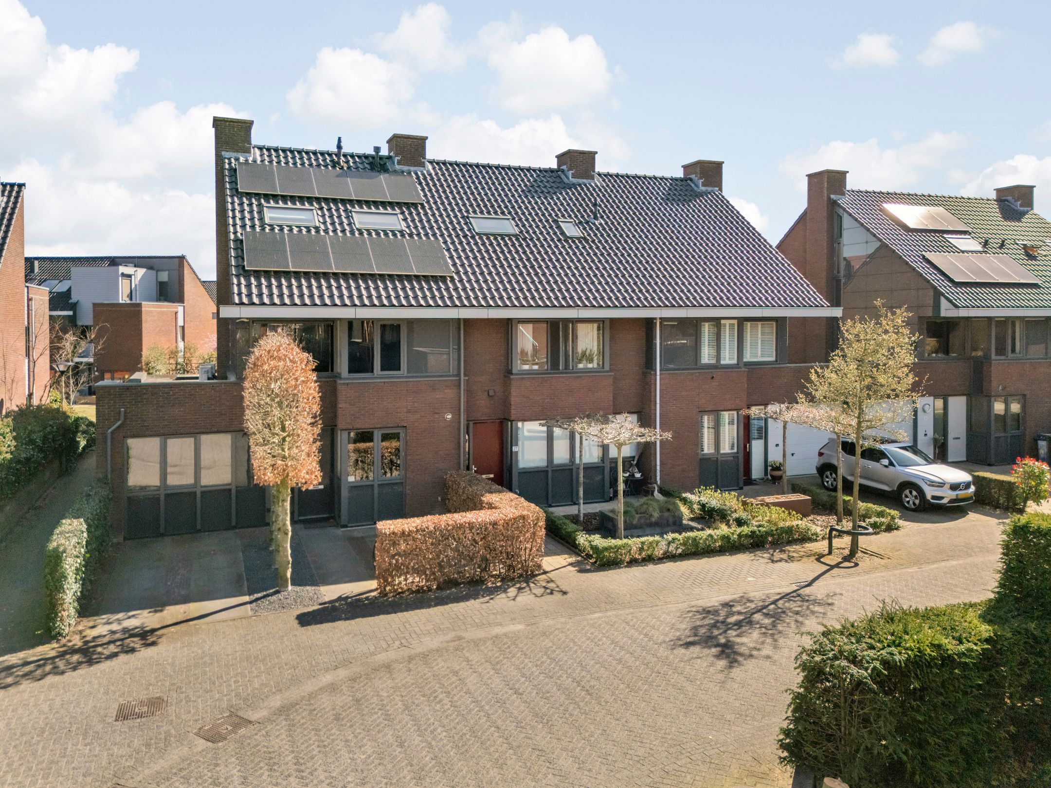 Photo 6 of Gravin Gertrude 25