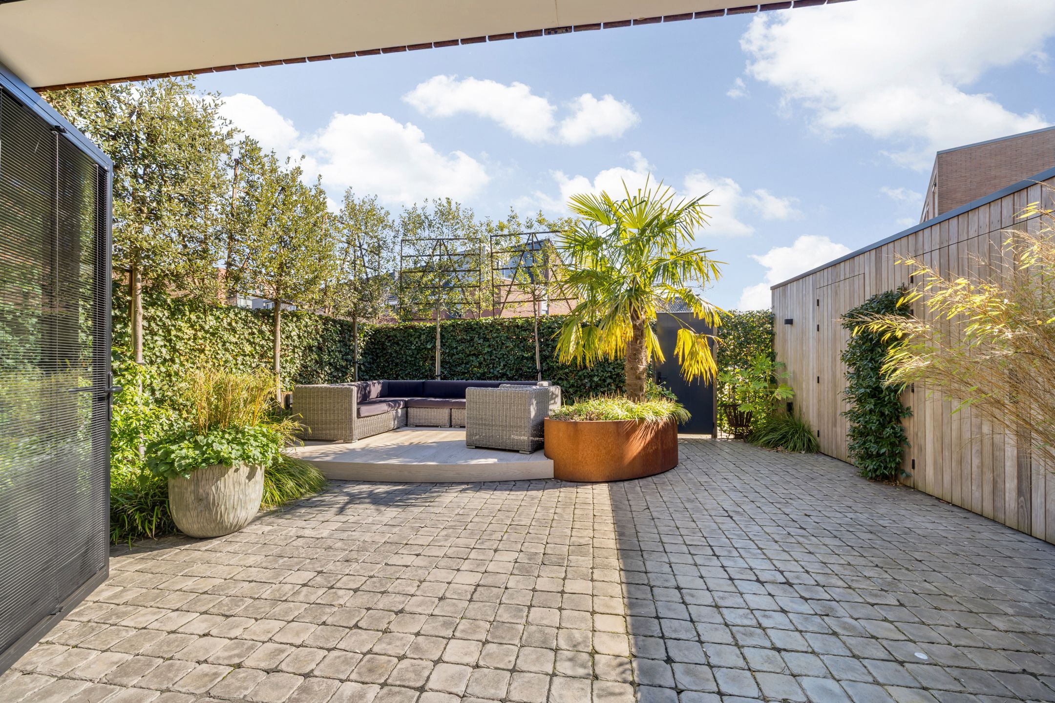 Photo 33 of Gravin Gertrude 25