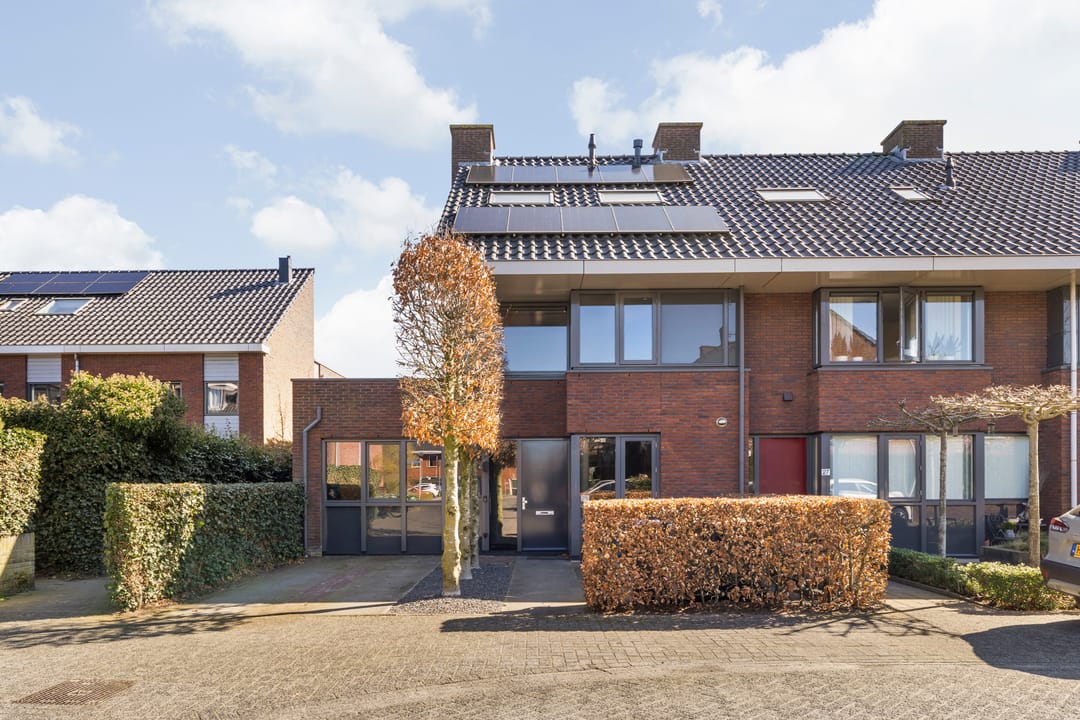 Photo 38 of Gravin Gertrude 25