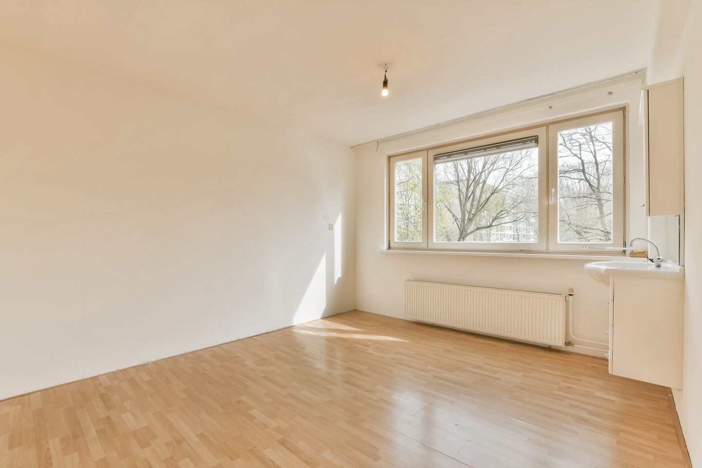 Foto 4 van Schierstins 6