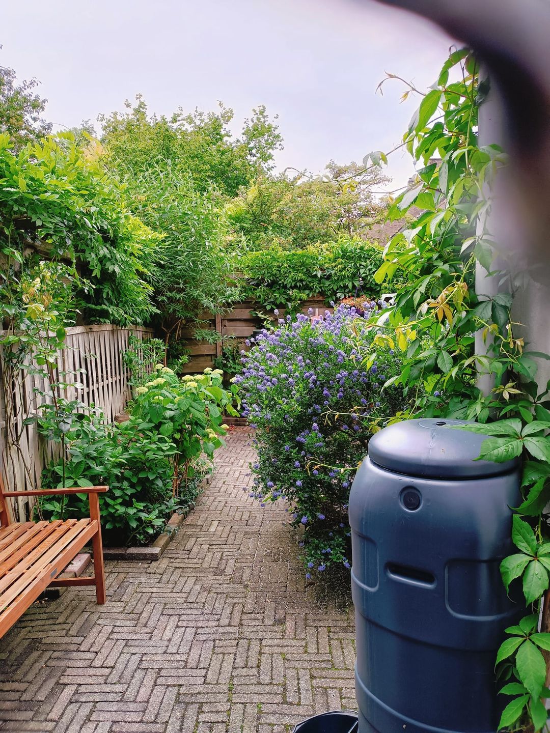 Foto 46 van Wasstraat 34