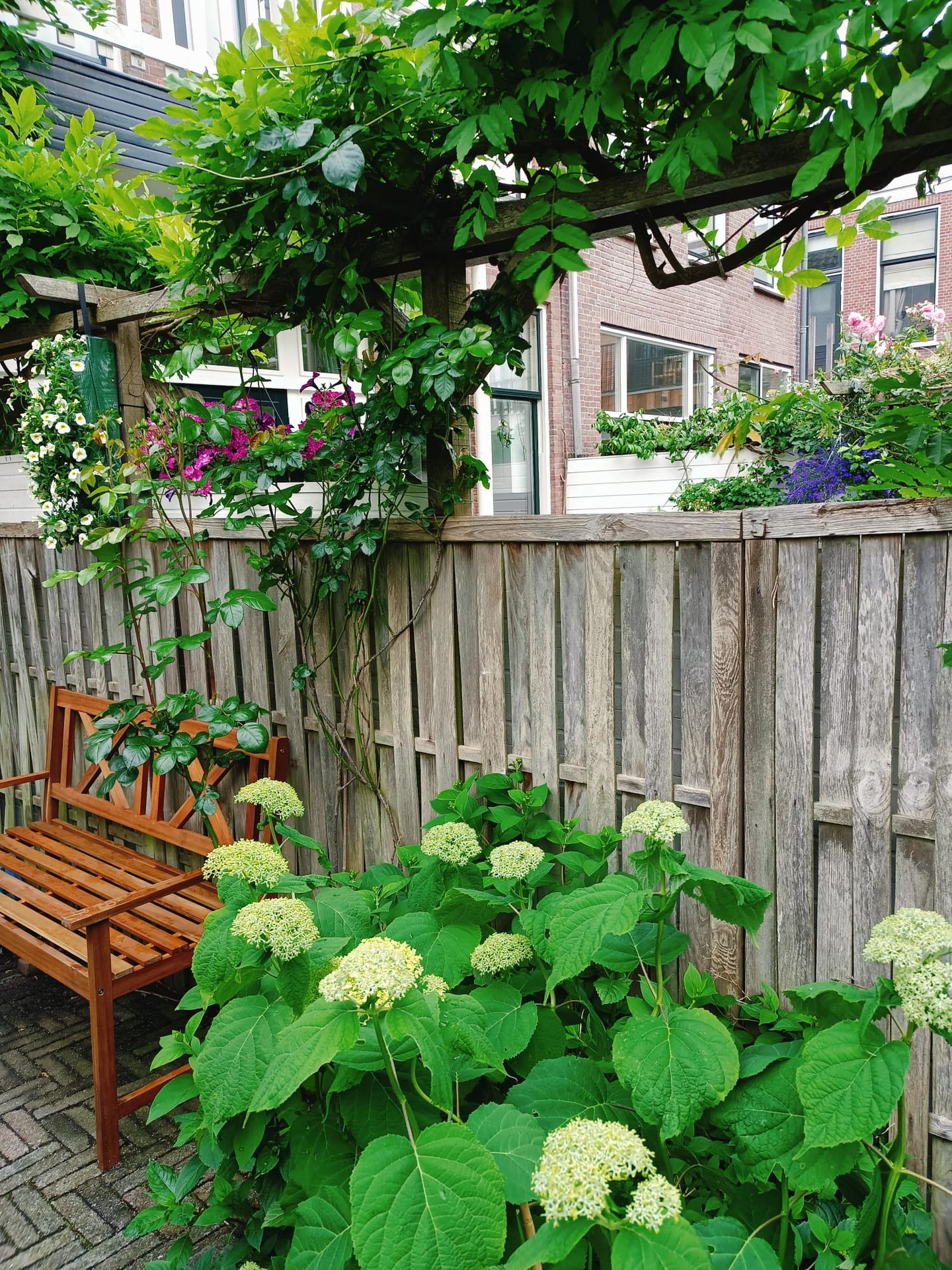 Foto 49 van Wasstraat 34