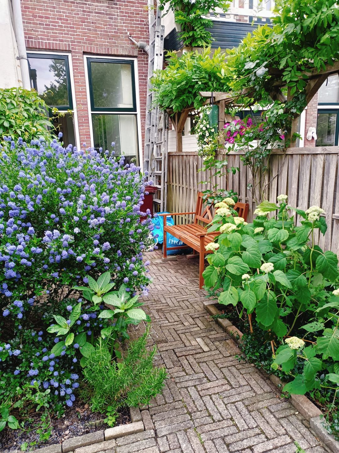 Foto 47 van Wasstraat 34