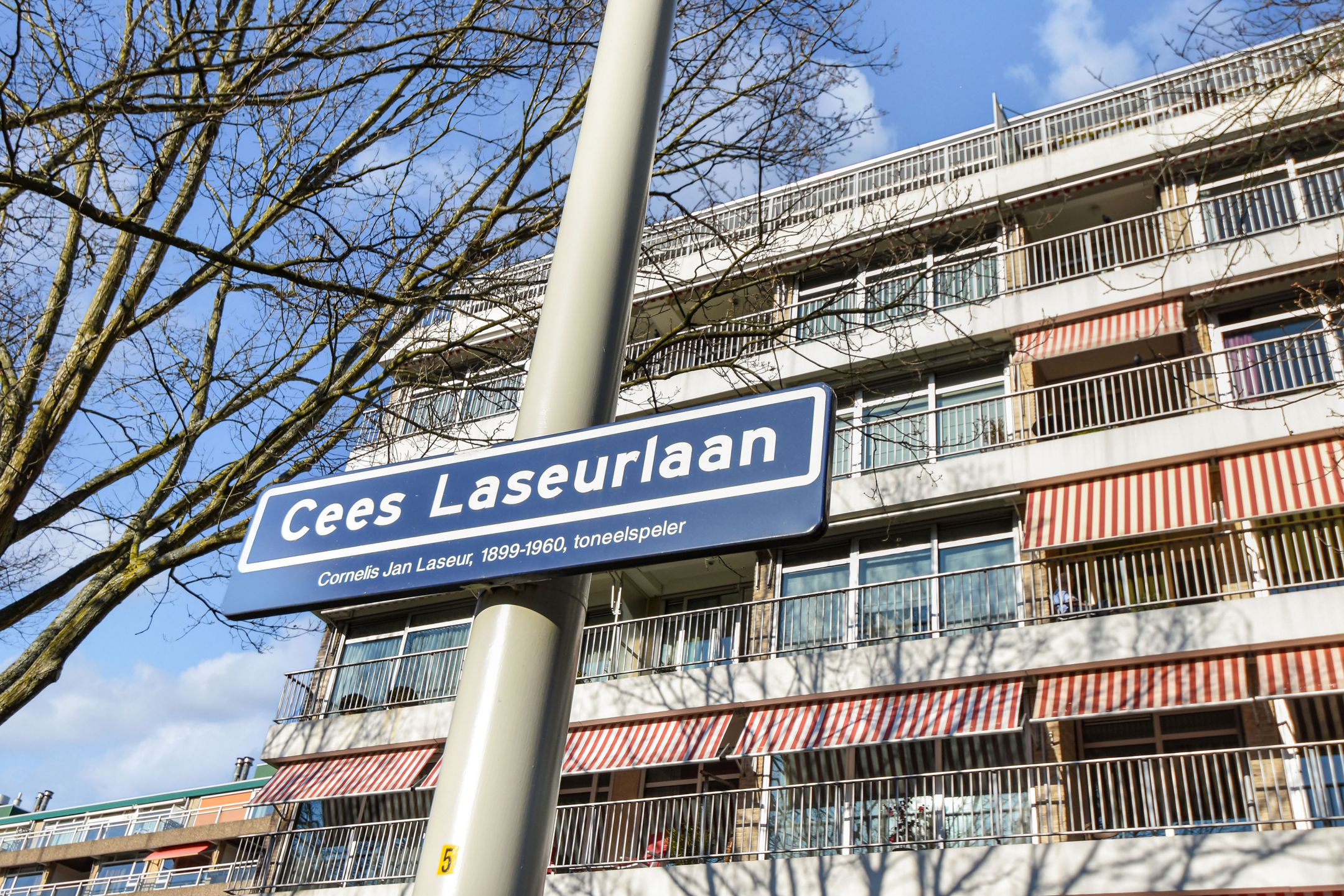 Photo 27 of Cees Laseurlaan 233