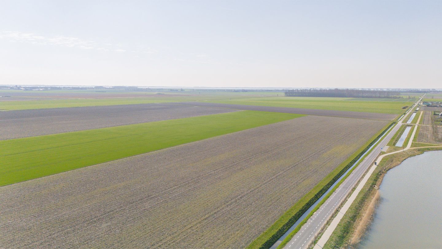 Foto 29 van Honingeter 49