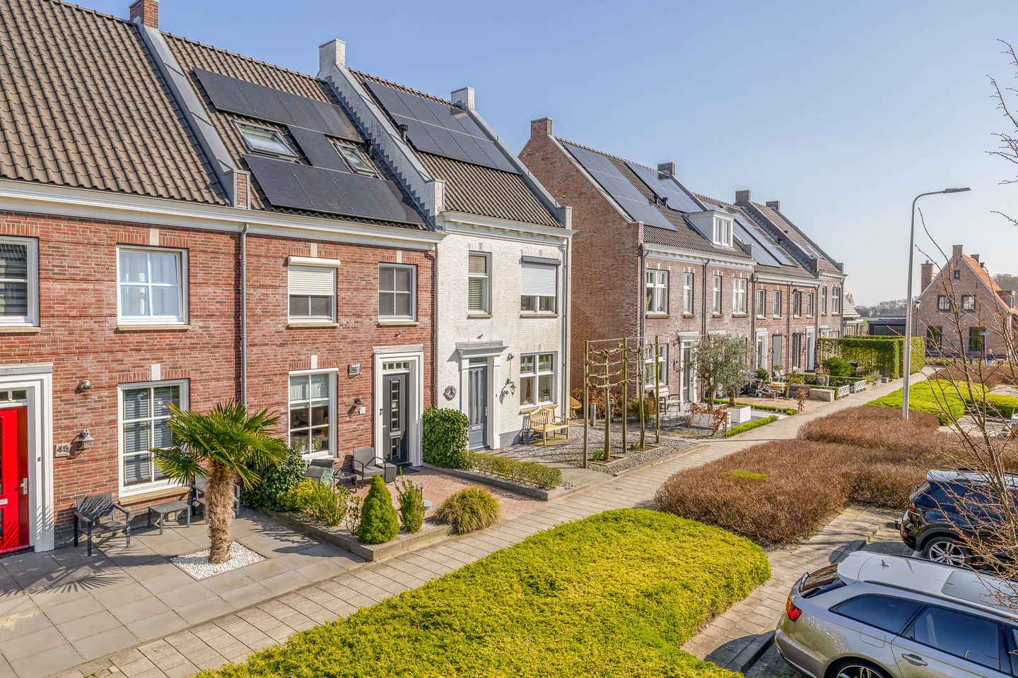 Foto 5 van Honingeter 49