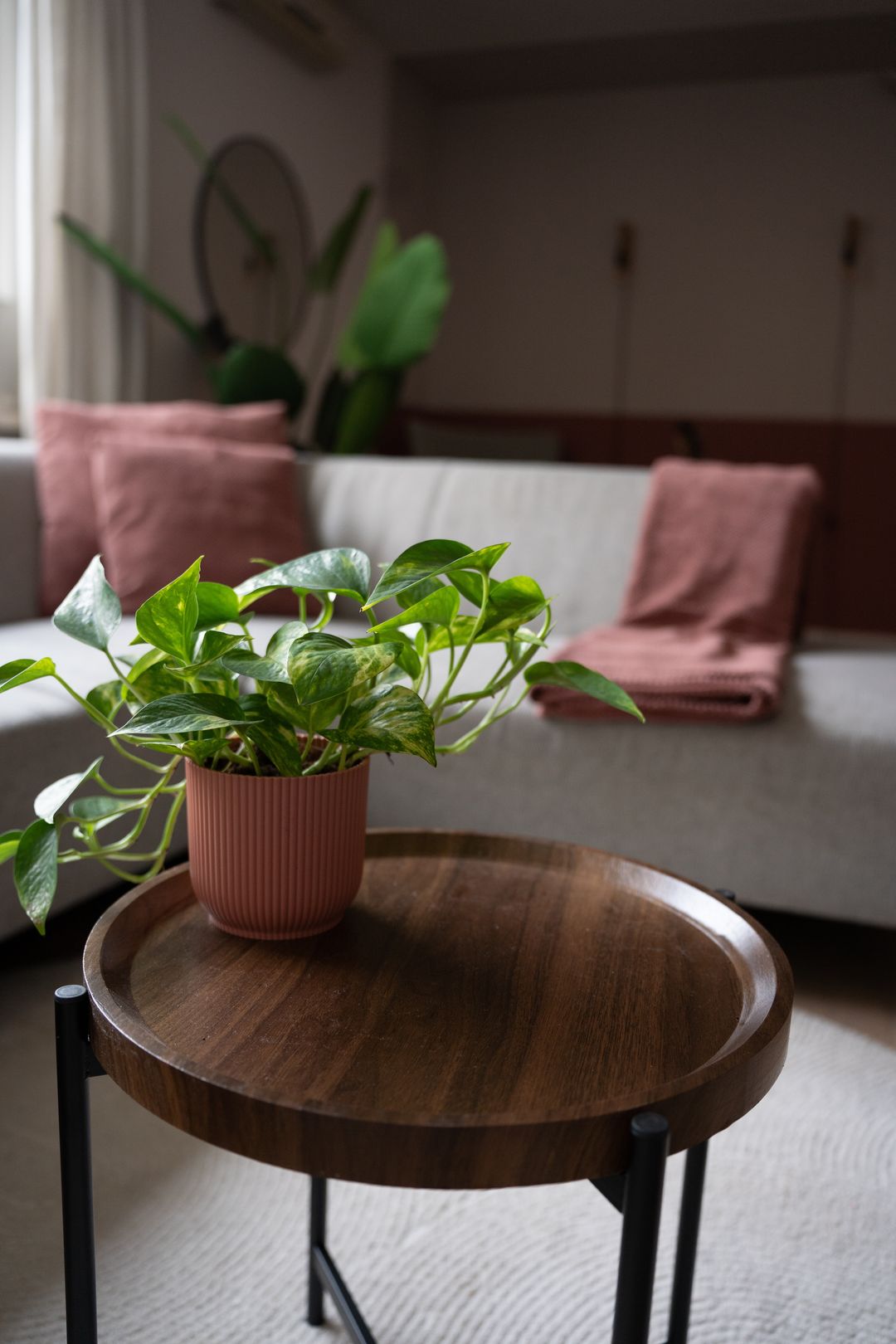 Photo 7 of Weezenhof 3647