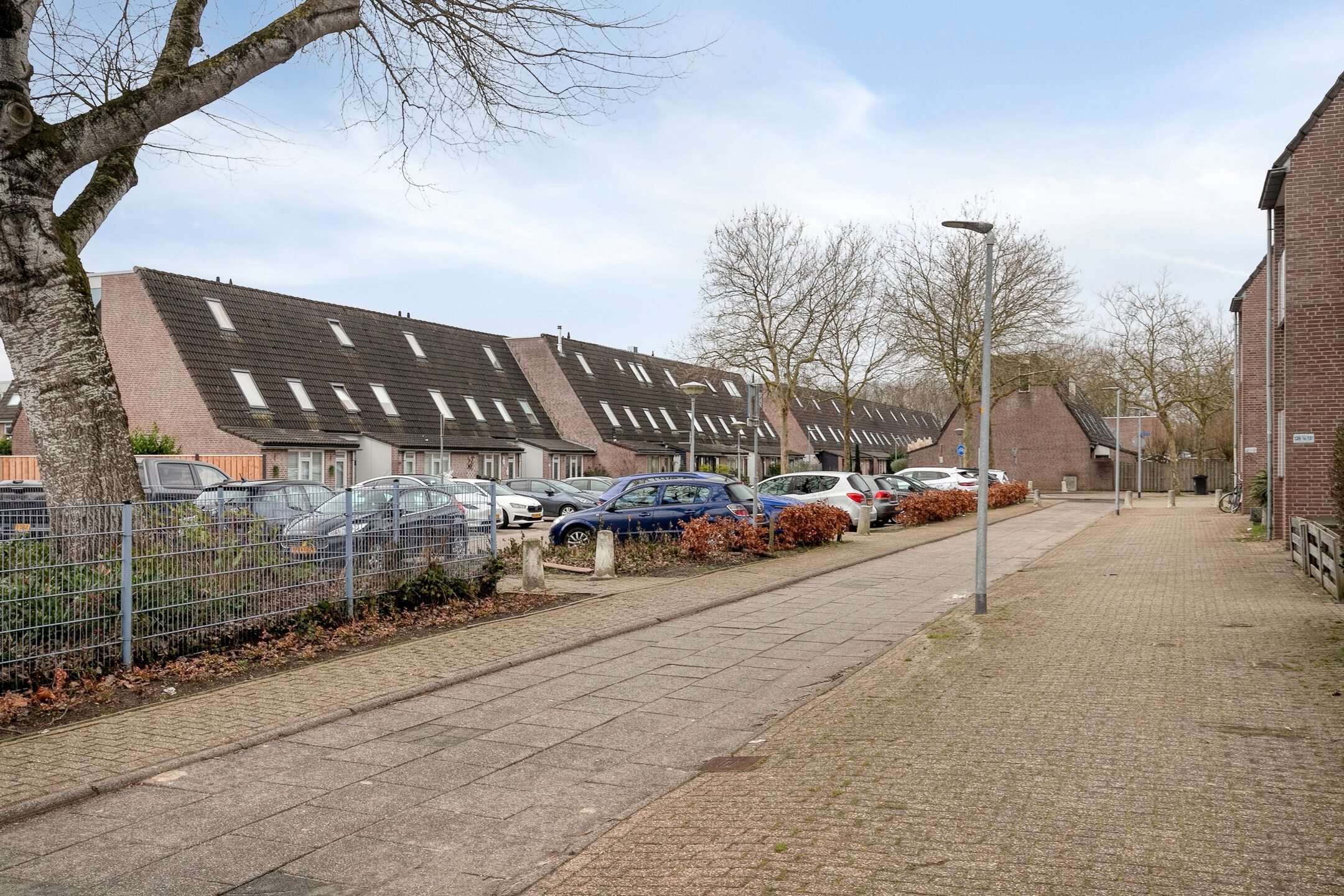 Photo 36 of Schapenmeent 67