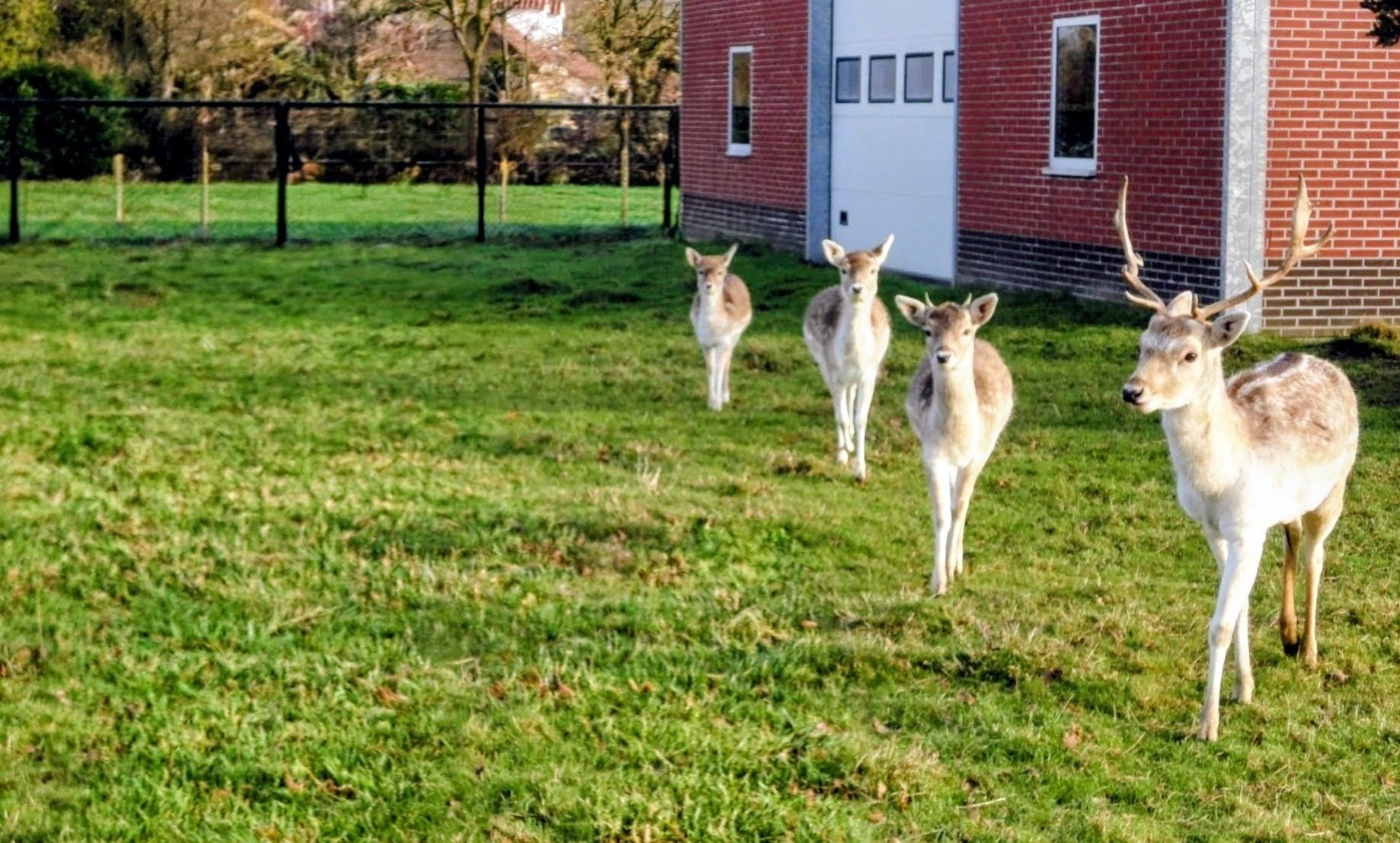 Foto 75 van Oude Heistraat 19