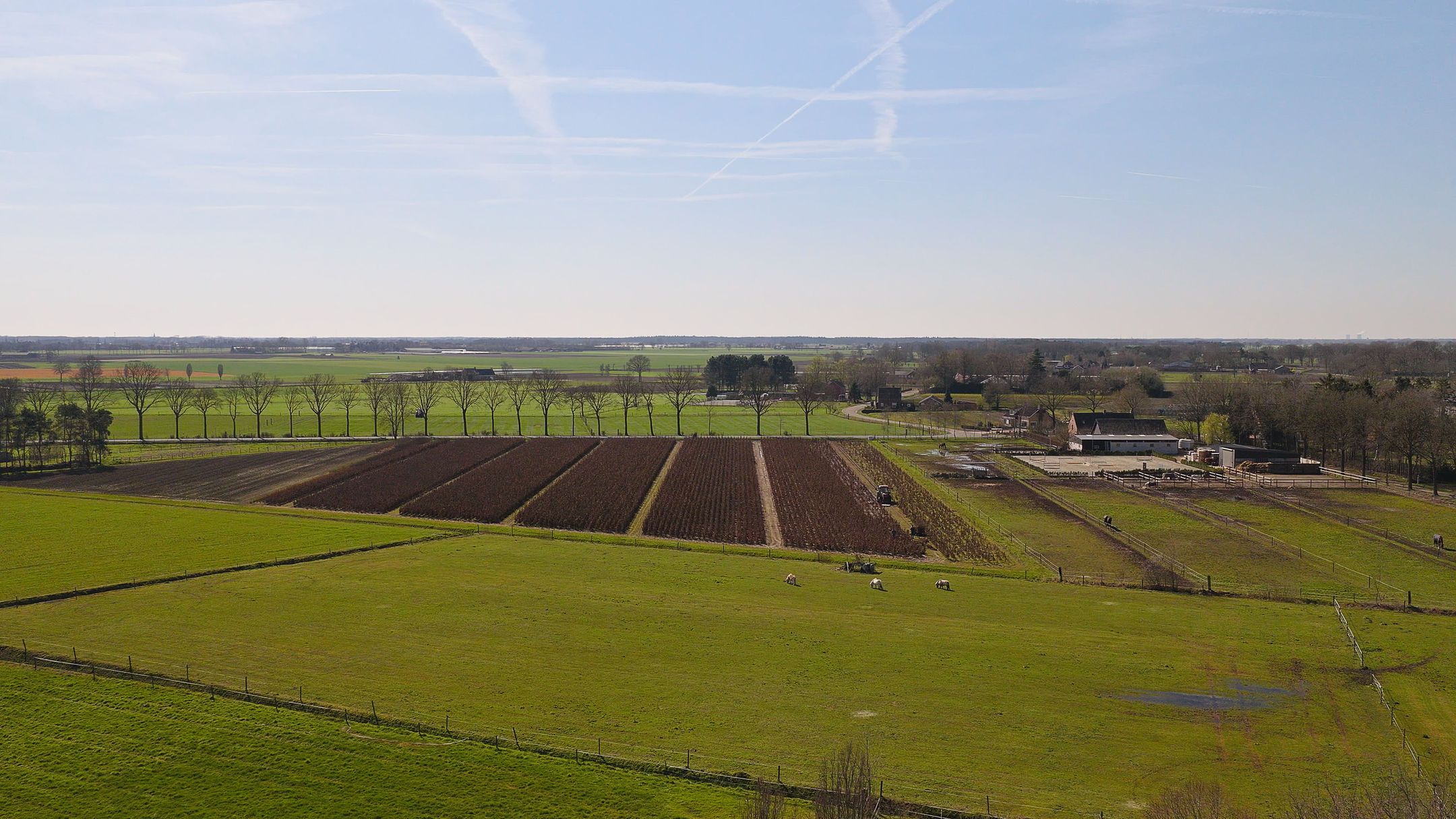 Foto 93 van Oude Heistraat 19