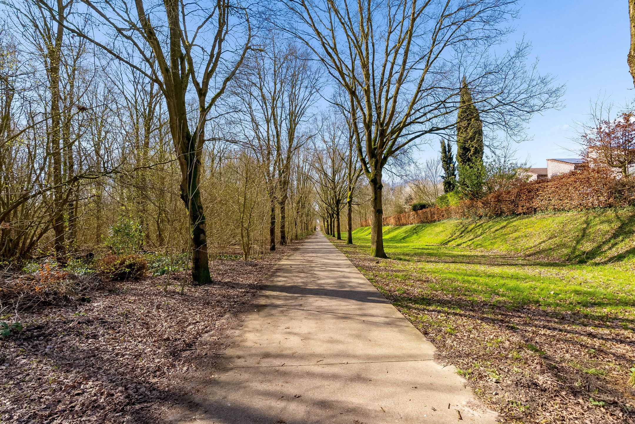 Foto 54 van Vrijdagstraat 1