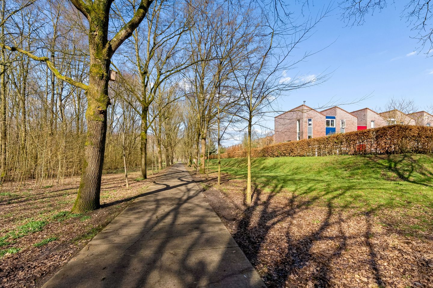 Foto 55 van Vrijdagstraat 1