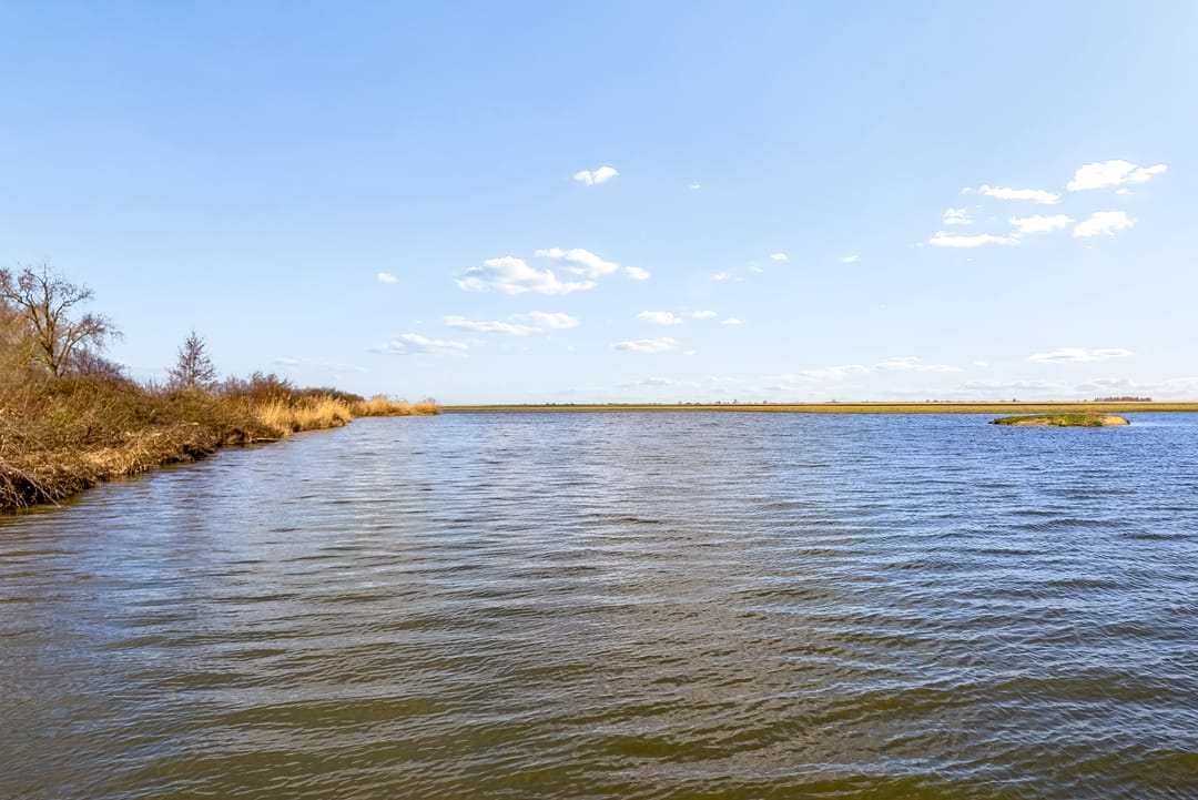 Foto 56 van Vrijdagstraat 1