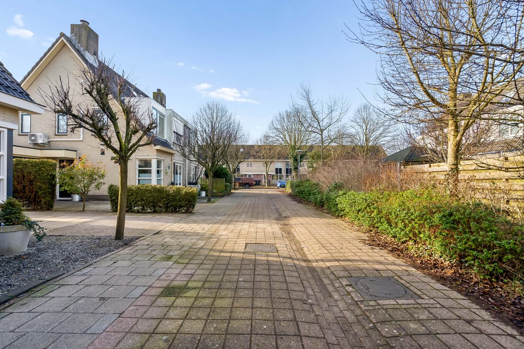 Foto 41 van Pandabeerstraat 13