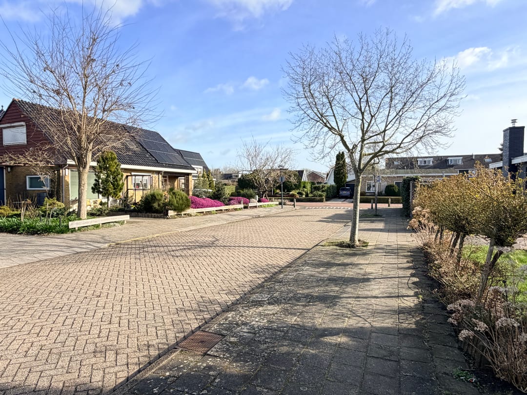 Foto 38 van Wilhelminastraat 1