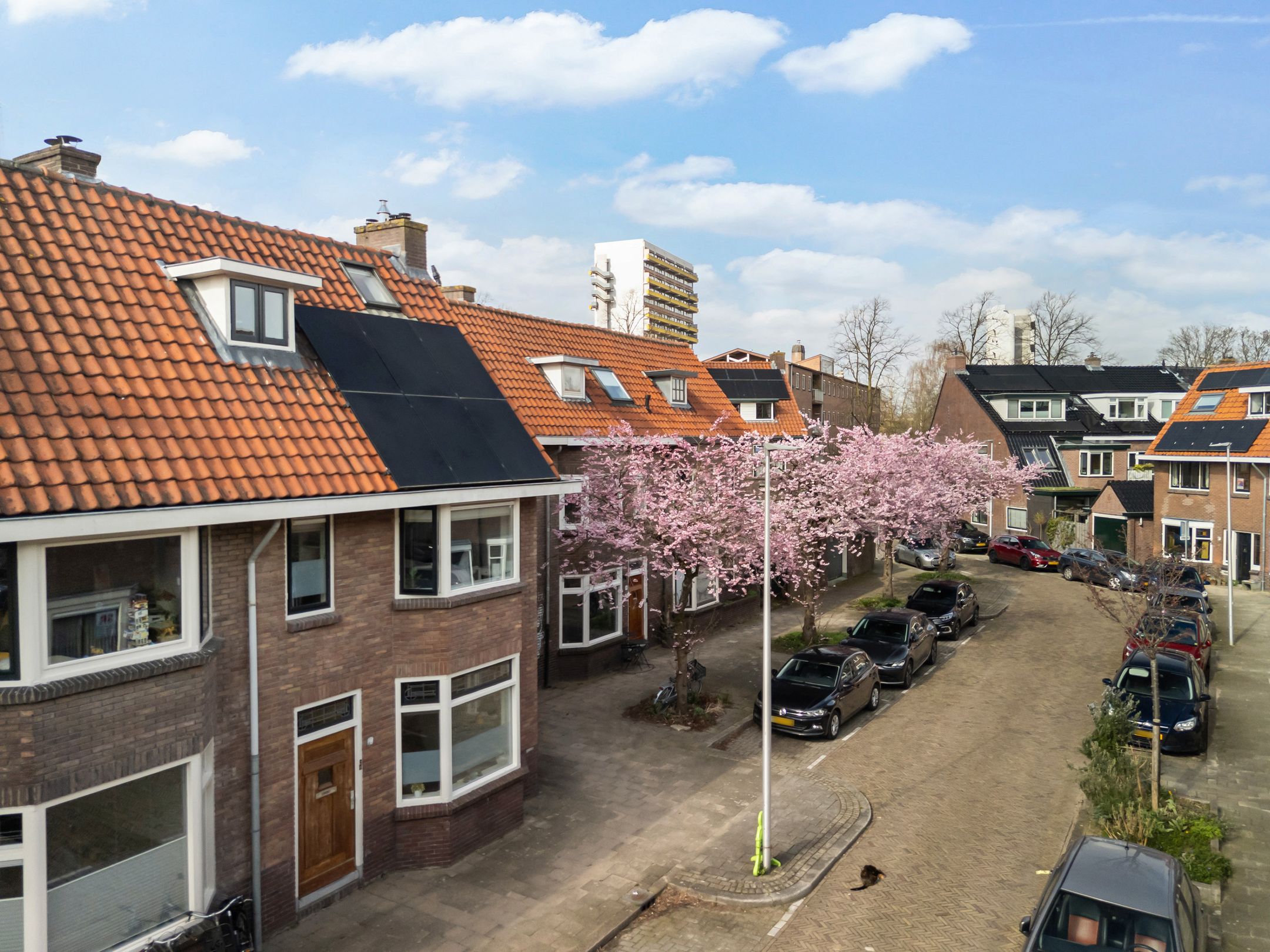 Foto 6 van Everard Foeckstraat 14