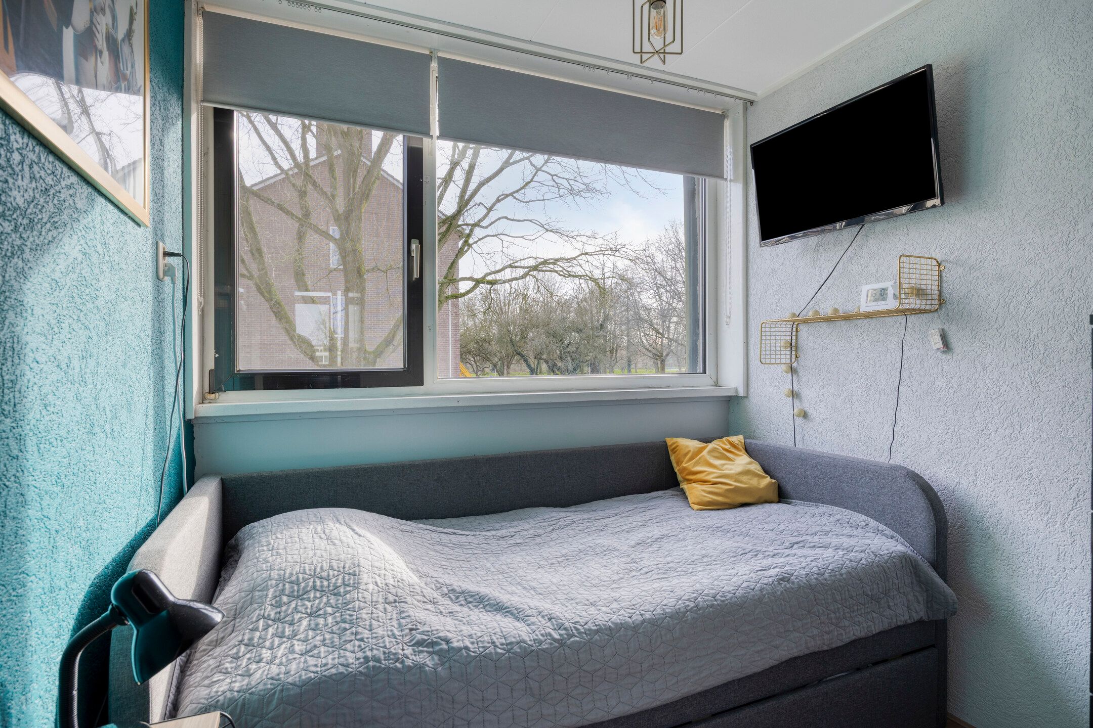 Photo 24 of Begoniastraat 3