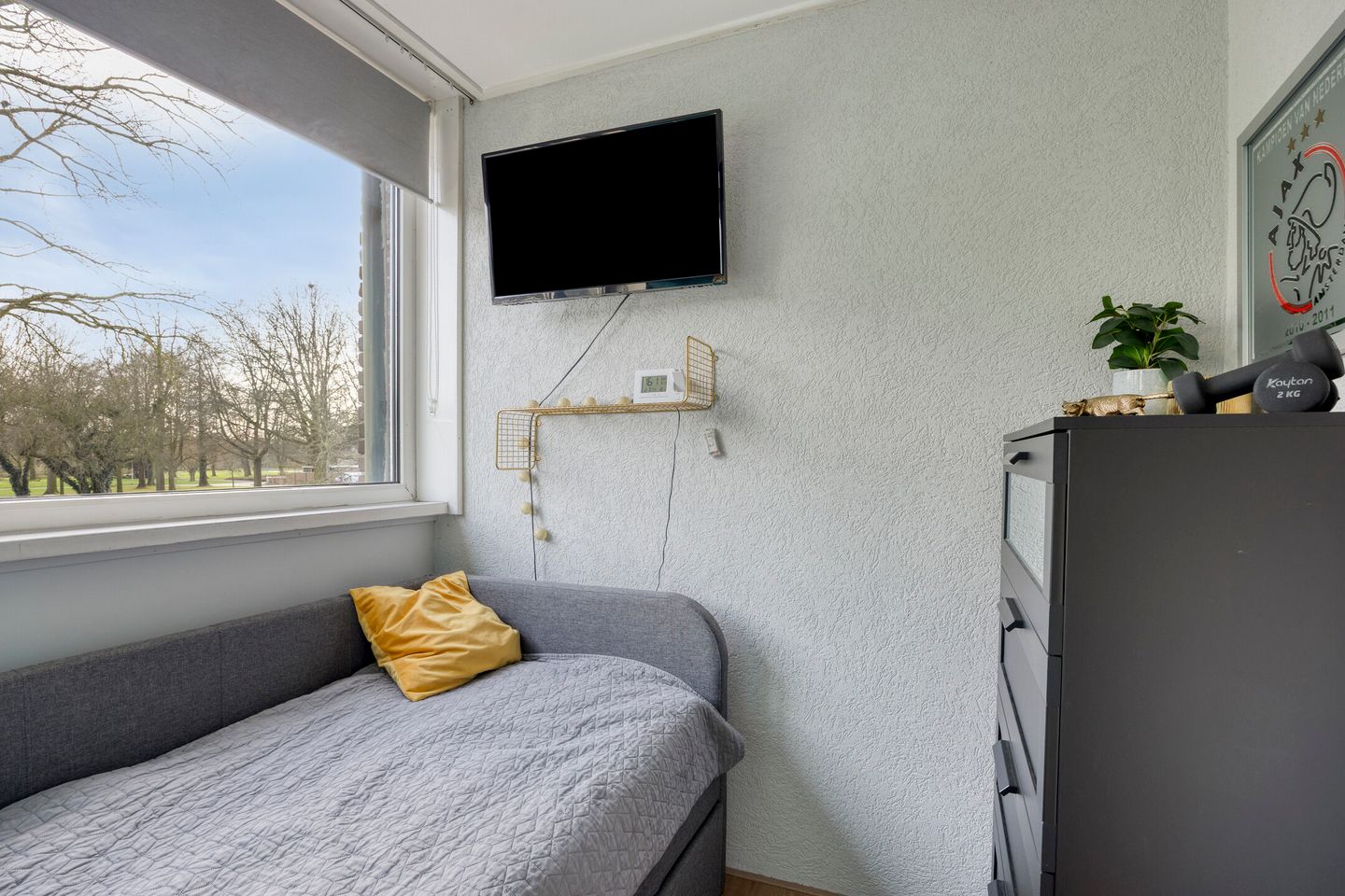 Photo 25 of Begoniastraat 3