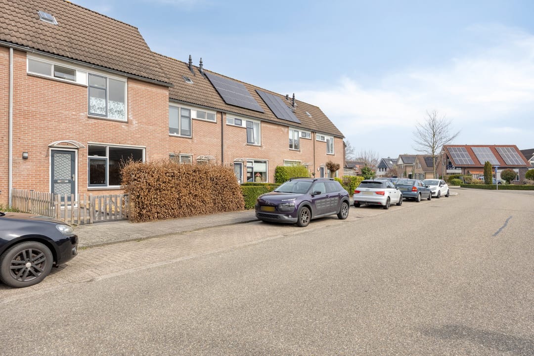 Photo 7 of Blauwgras 7