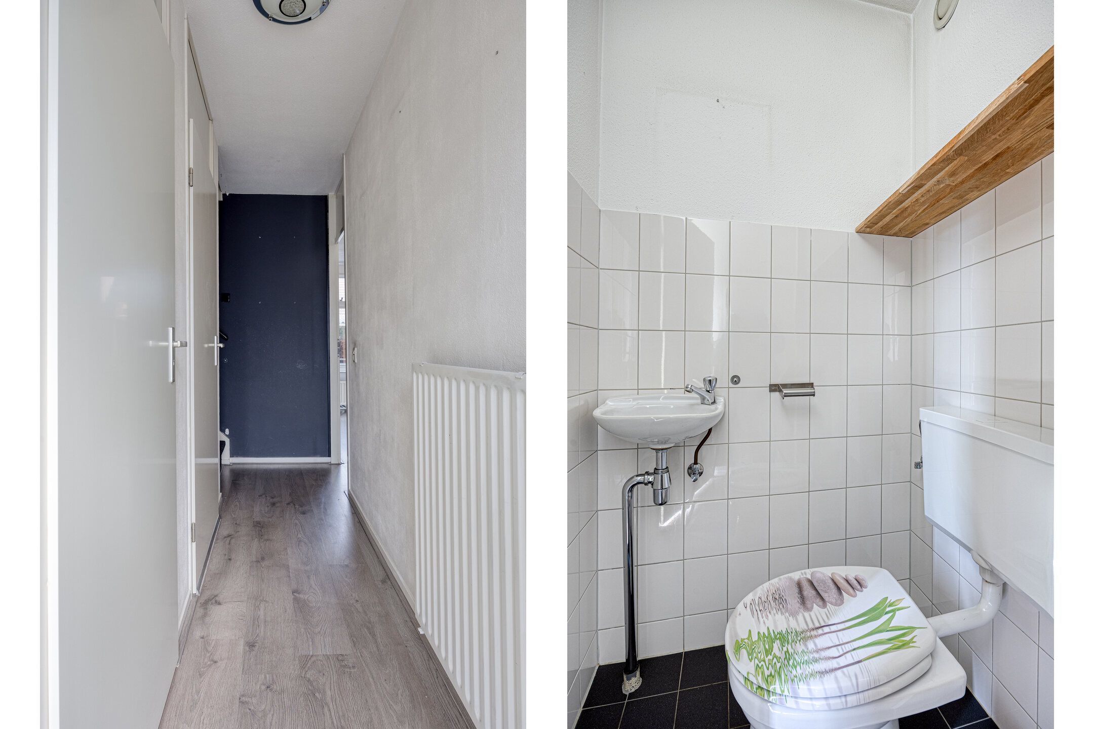 Photo 9 of Blauwgras 7