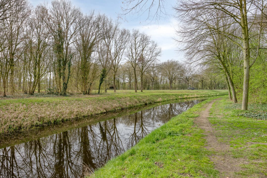 Photo 32 of Blauwgras 7