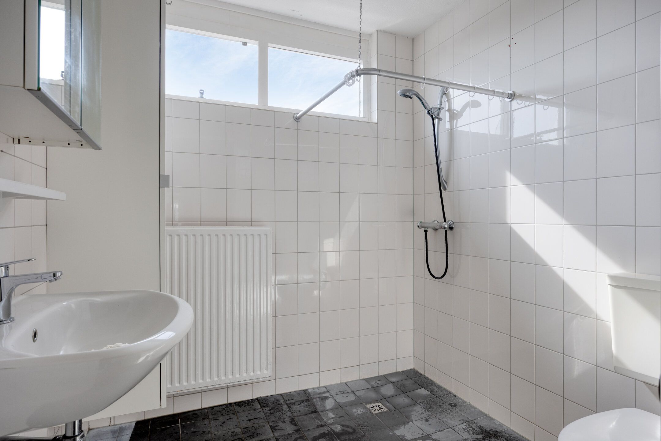 Photo 18 of Blauwgras 7