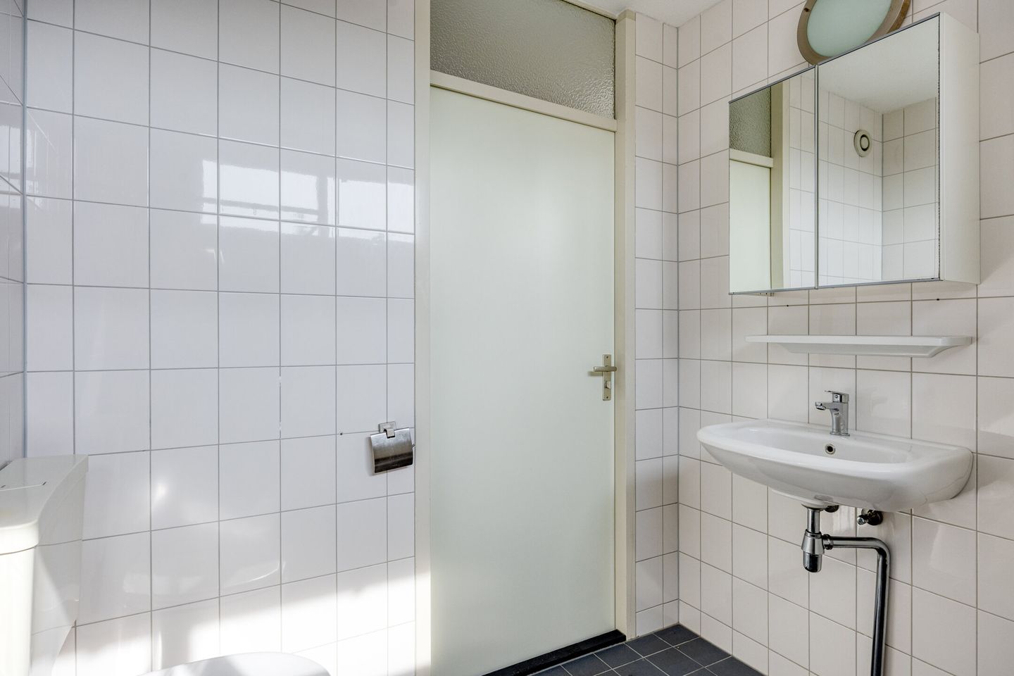 Photo 19 of Blauwgras 7