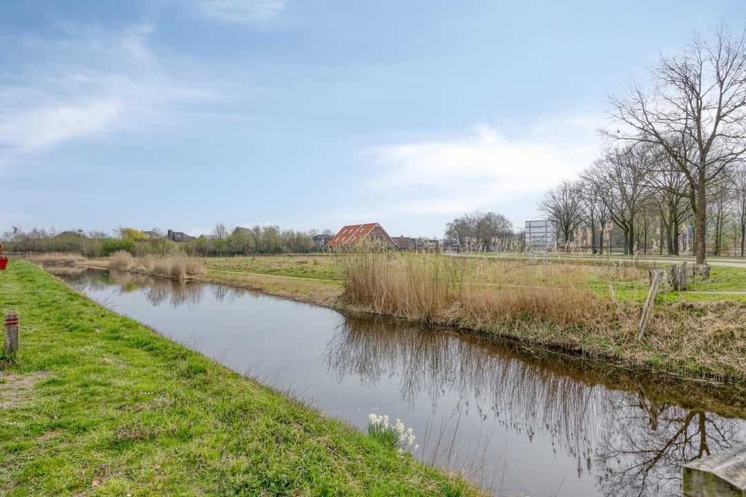 Photo 31 of Blauwgras 7