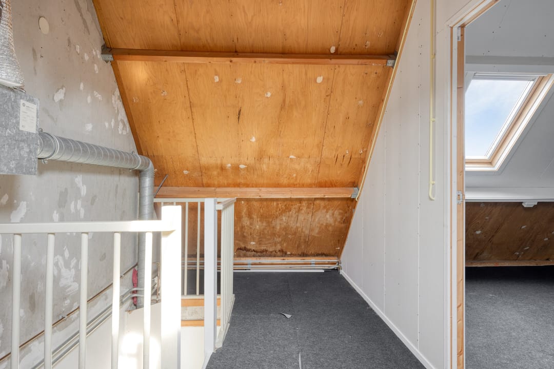 Photo 22 of Blauwgras 7