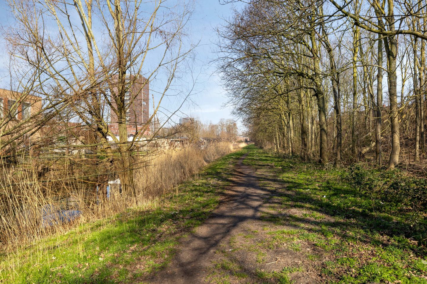 Foto 34 van Singerstraat 109